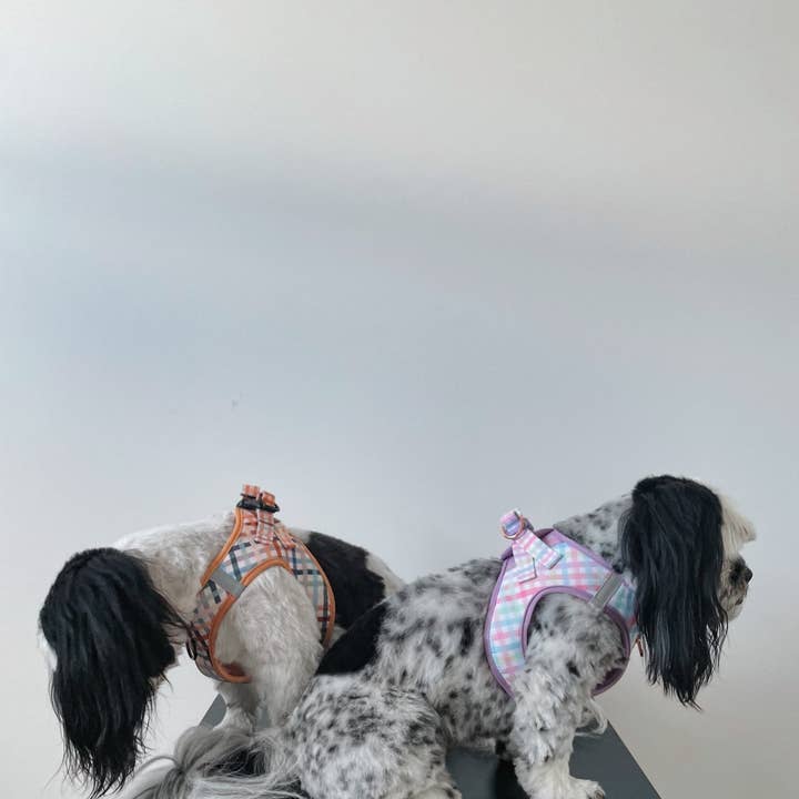 Dizzy Dog Collars - Wholesale Pet Harness - Dog - Step In Dog Harness: No Pull Harness | For XS to Medium Dogs & Cats | Vintage Gingham7
