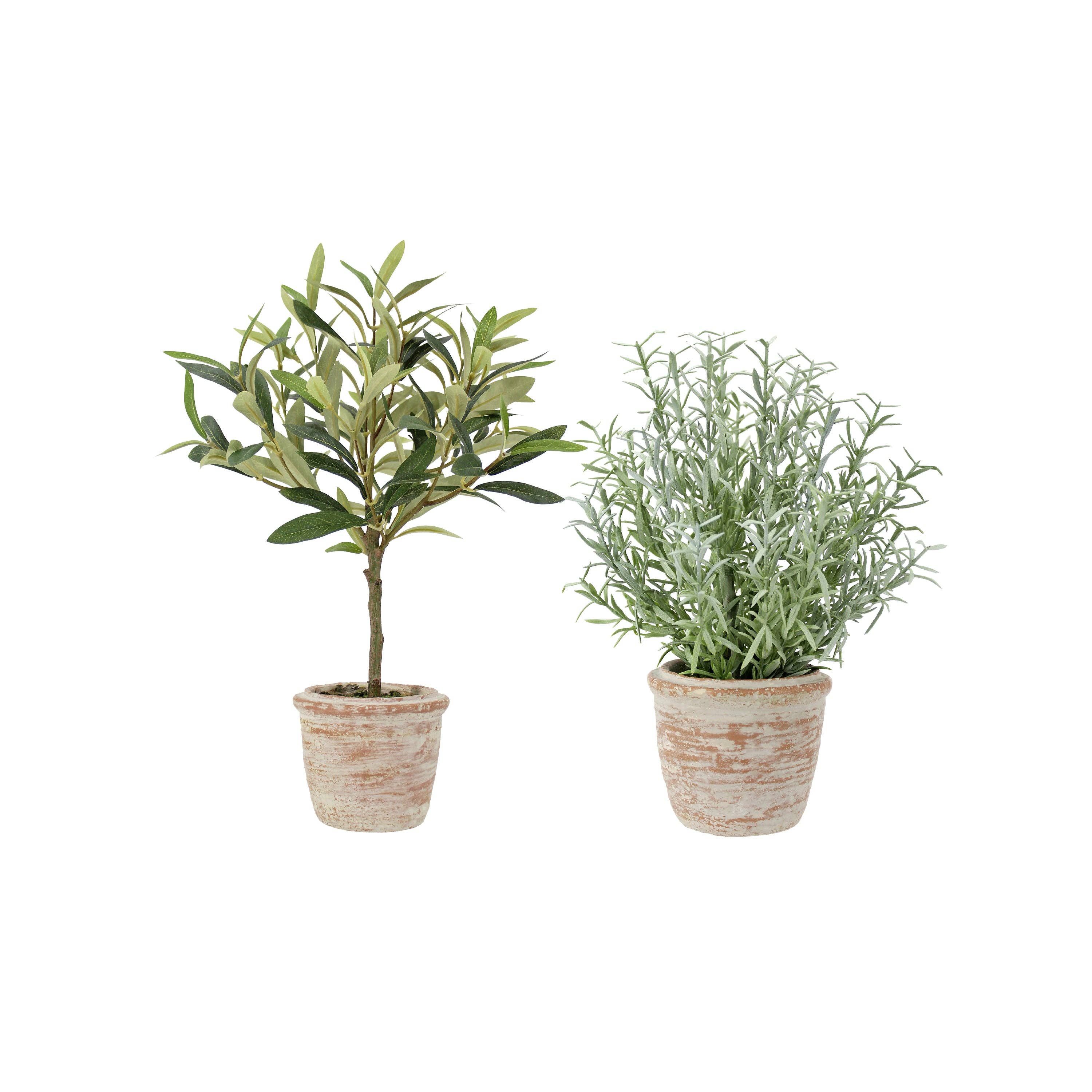 CG Hunter - Wholesale Artificial Plant - 12" Rosemary & 16" Olive Topiary Set