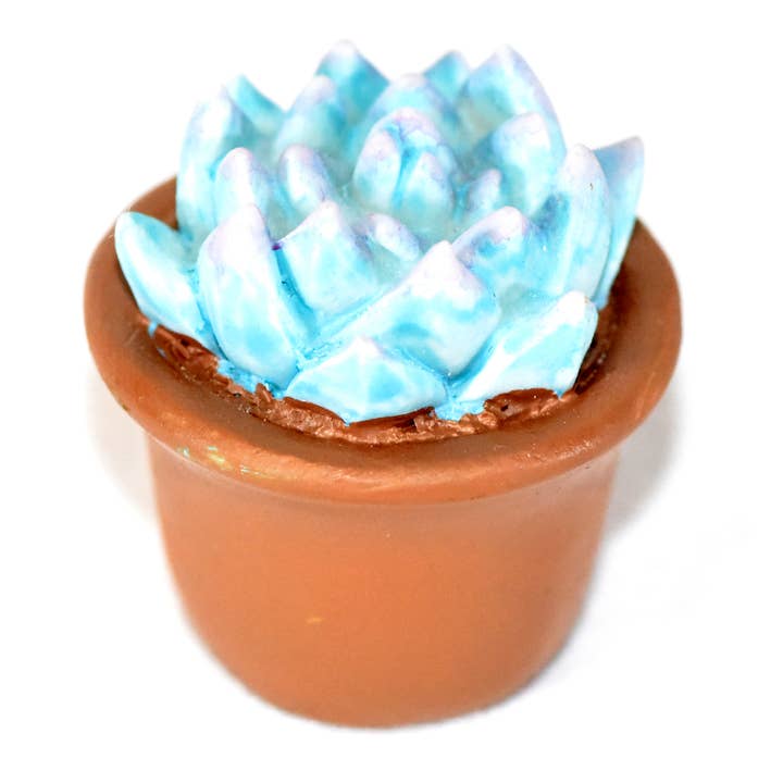 G & F Products - Wholesale Succulent - Garden Miniature Succulent, 4 pc1