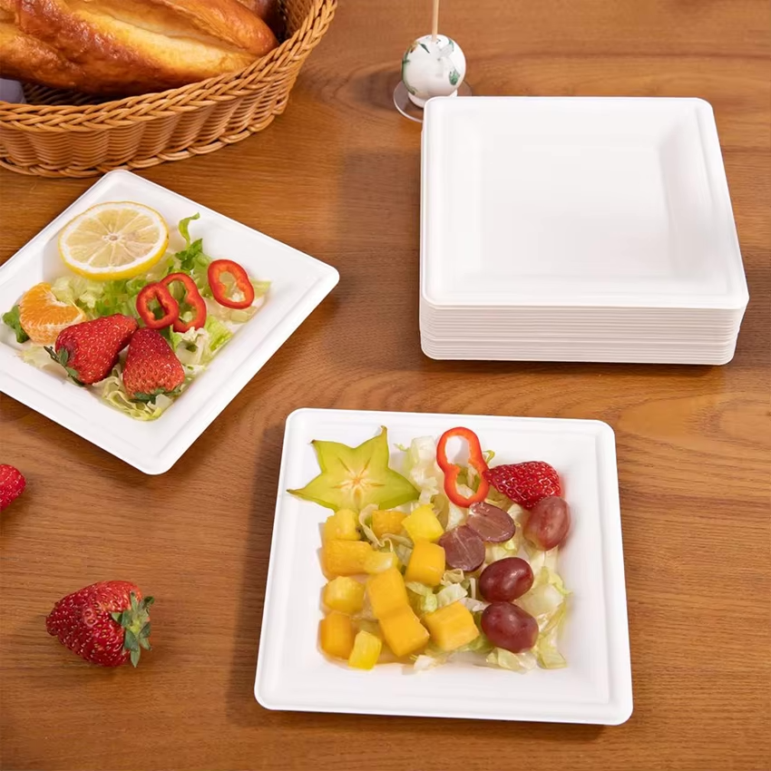 Clene Pack - Wholesale Disposable Plate - Bagasse Square Plates 8" Compostable Heavy-duty 500 Pack6