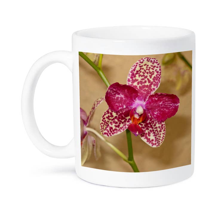 3dRose, EUA, Florida, Sarasota, Orquídea Malhada, Caneca por atacado de 3dRose