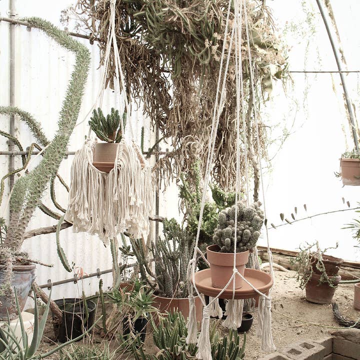 Soul of the Party - Wholesale Hanging Planter - Fringed Plant Hanger - Natural