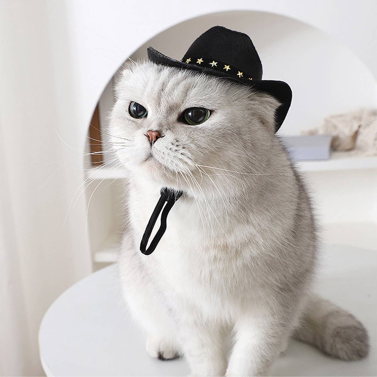Toby Supply - Wholesale Pet Hat - Dog - Cowboy Hat for Cats – Stylish Sun Hat for Persian_CWMM72622
