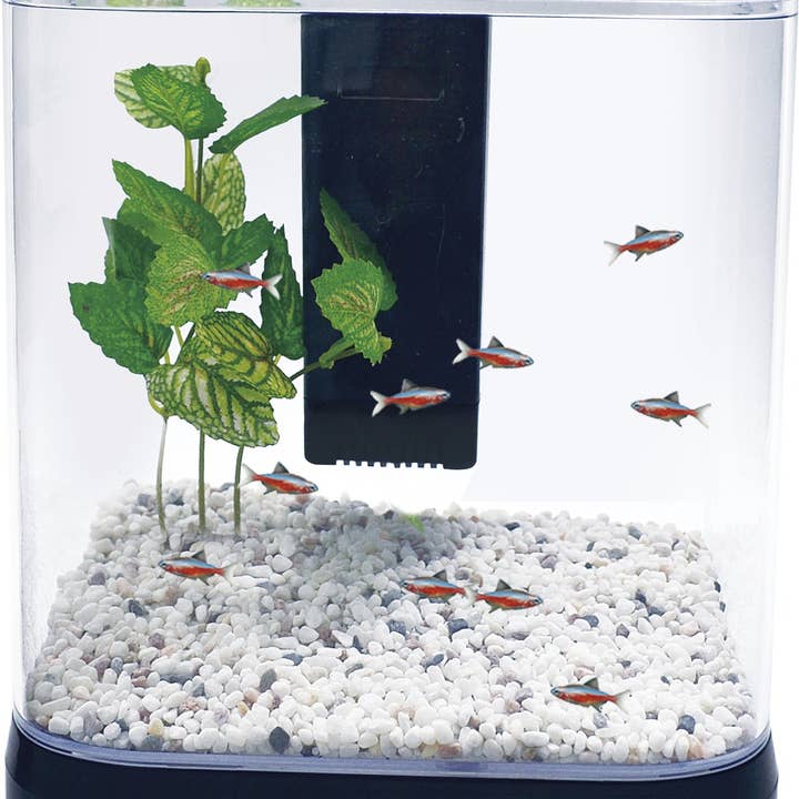 Penn-Plax - Wholesale Terrarium - NuWave Betta Fish Tank Kit – Black – 1.5 Gallon