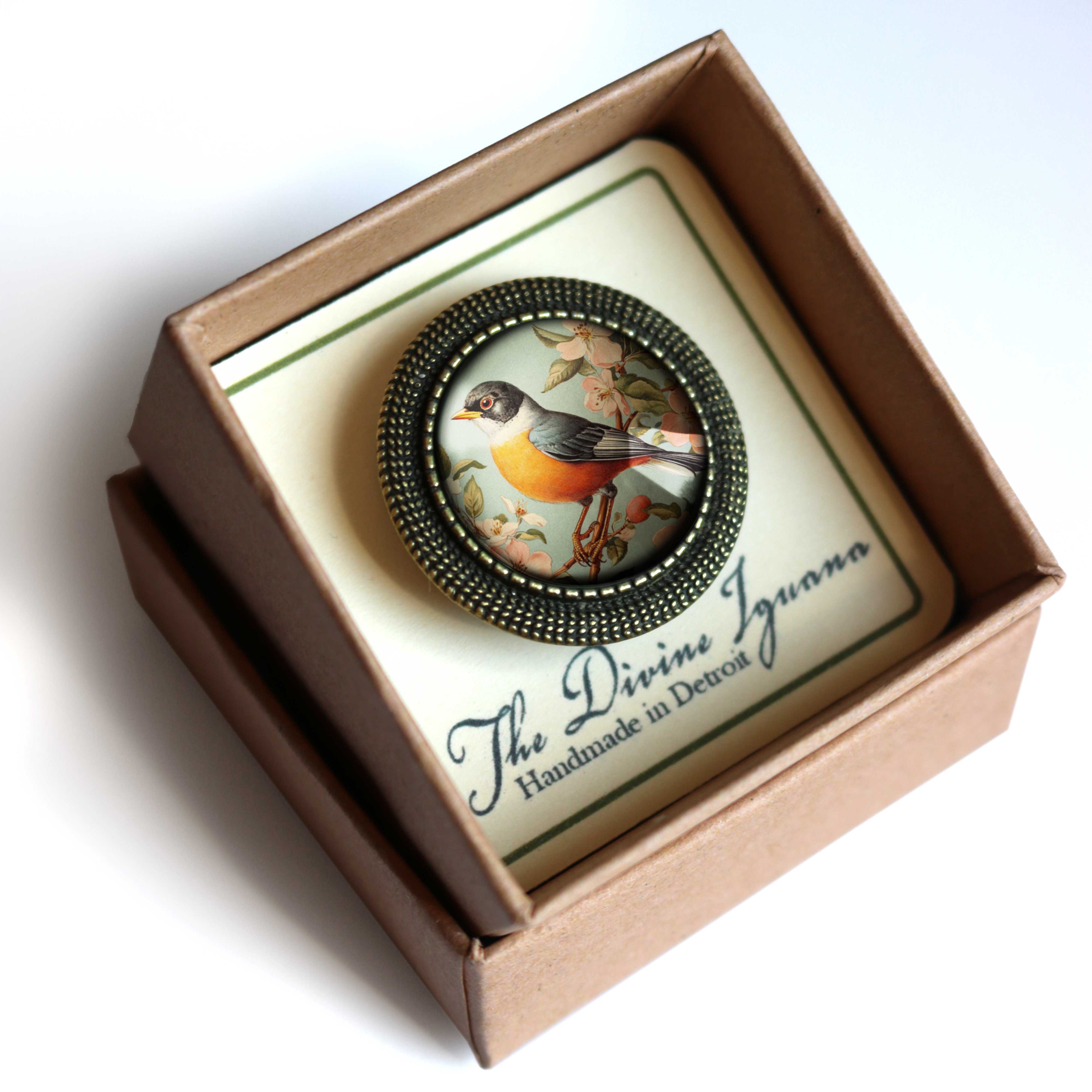 The Divine Iguana - Wholesale Brooch - Vintage Robin Spring Bird Glass Cabochon Brooch7
