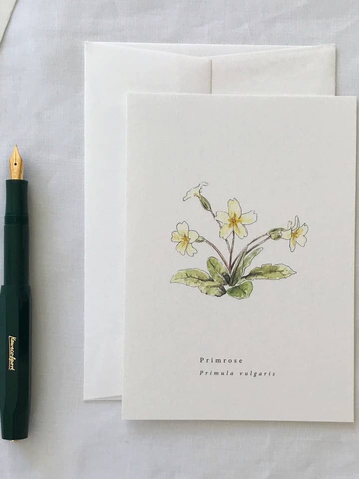 Primrose Botanical Illustration Spring Card for wholesale by Annie Brougham Paper Goods.