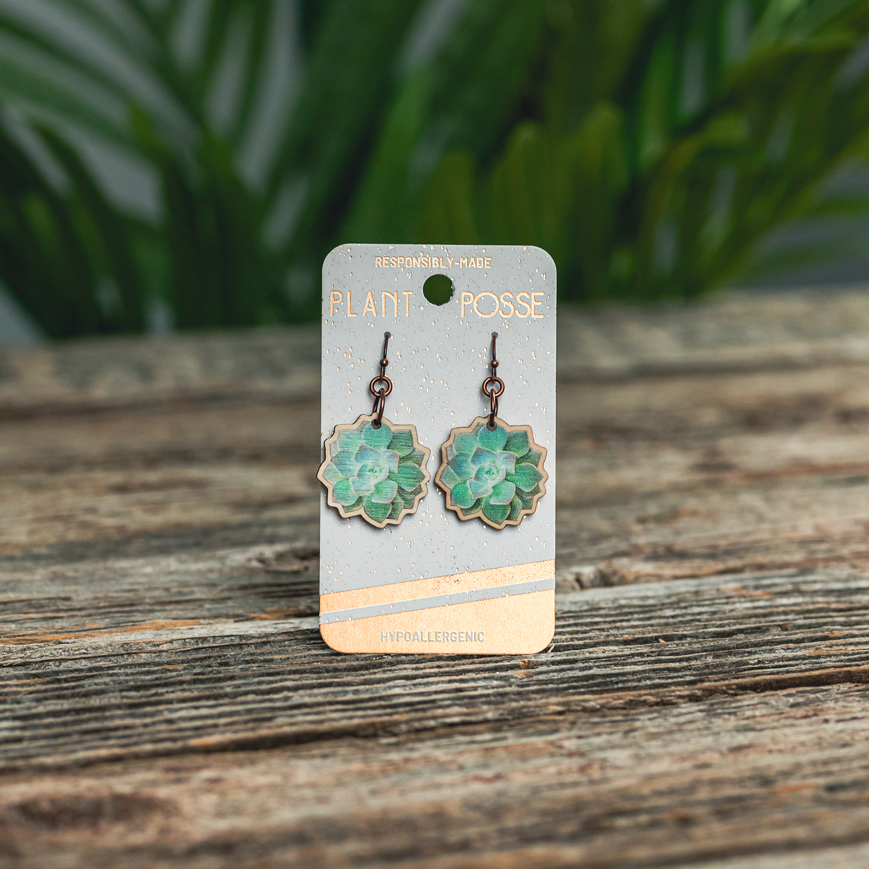 Plant Posse – wholesale Dangle earrings – Succulent Dangle Earrings3