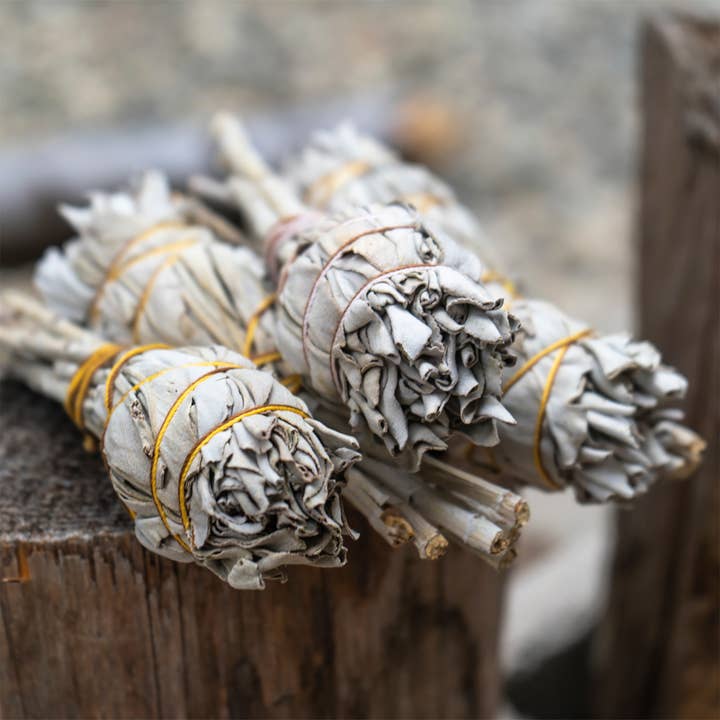 Pacific Trading - Wholesale Sage Bundle - White Sage Smudge Torch, 4" Size, Set/5 Sage Bundles6