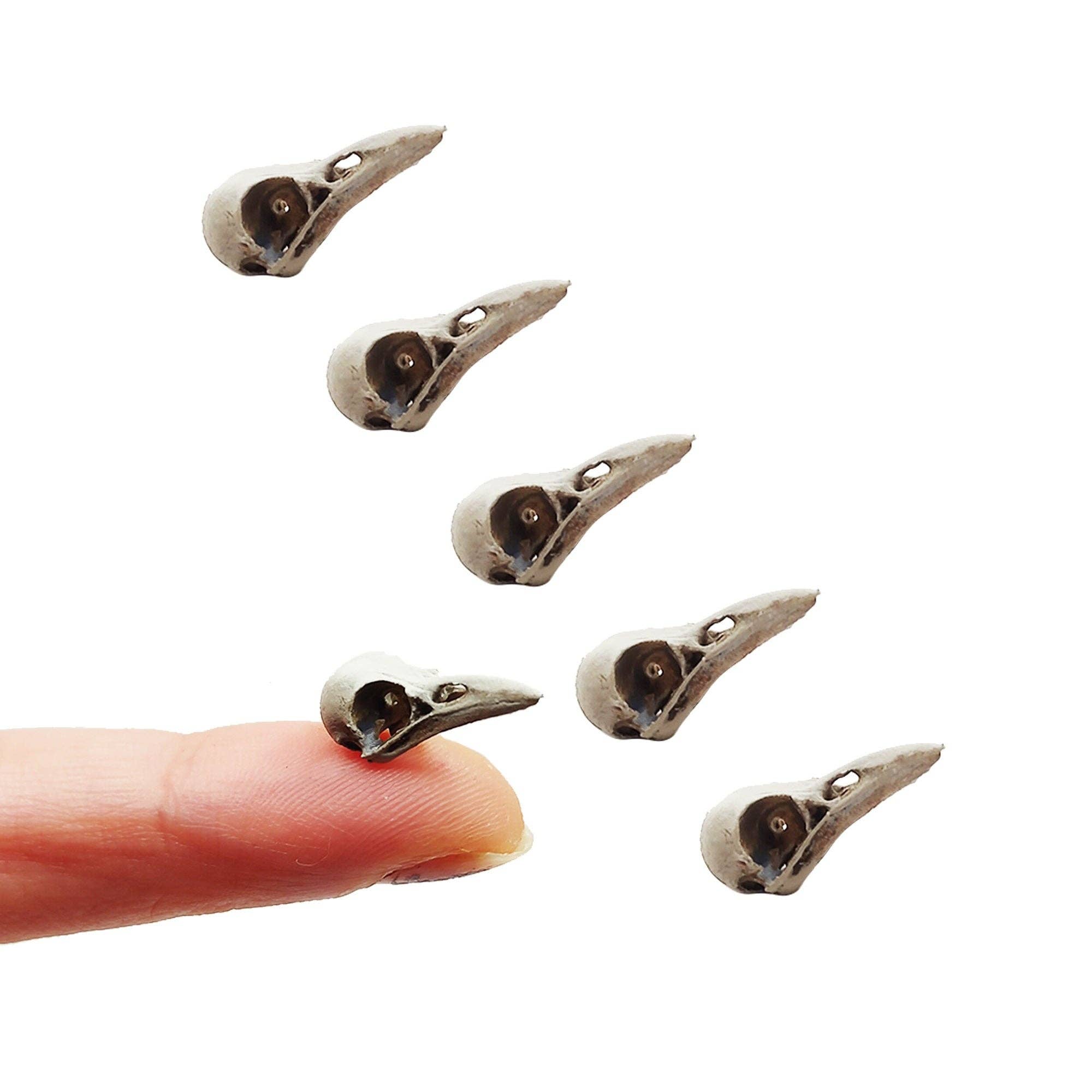 The Scale Grail - Wholesale Decoratief beeldje - Raven Skull Miniature, schaal 1:6 (5 schedels) - The Scale Grail1