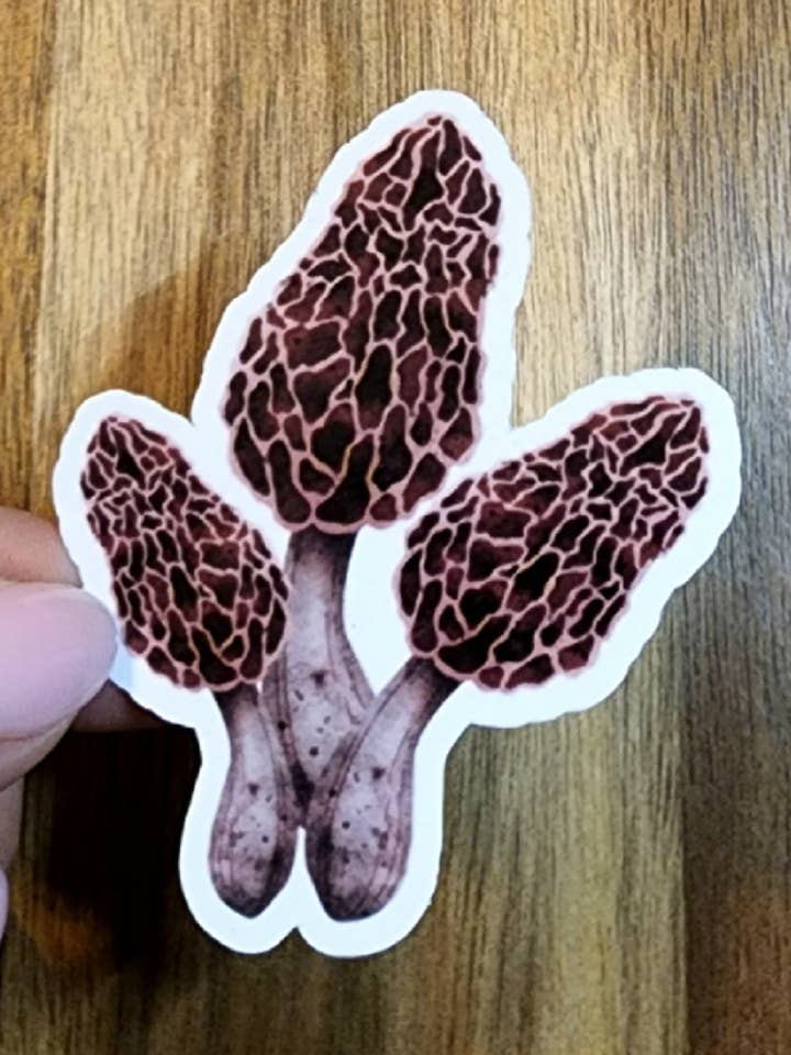 Adesivo fungo Morel, adesivo fungo, adesivo natura, adesivo positivo, adesivo edificante, salute mentale per la vendita all'ingrosso da parte di Fyg & Company, LLC