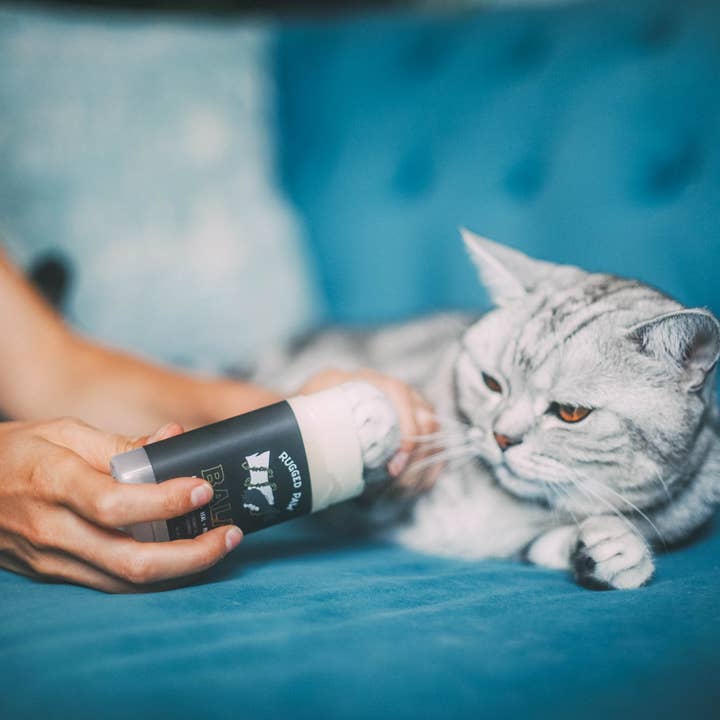 Rugged Paw - Wholesale Pet balm – Dog - Rugged Paw Balm3