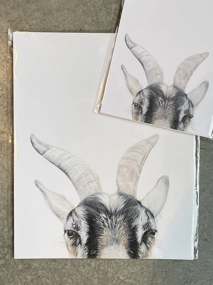 goat - print for wholesale by stück in the studio