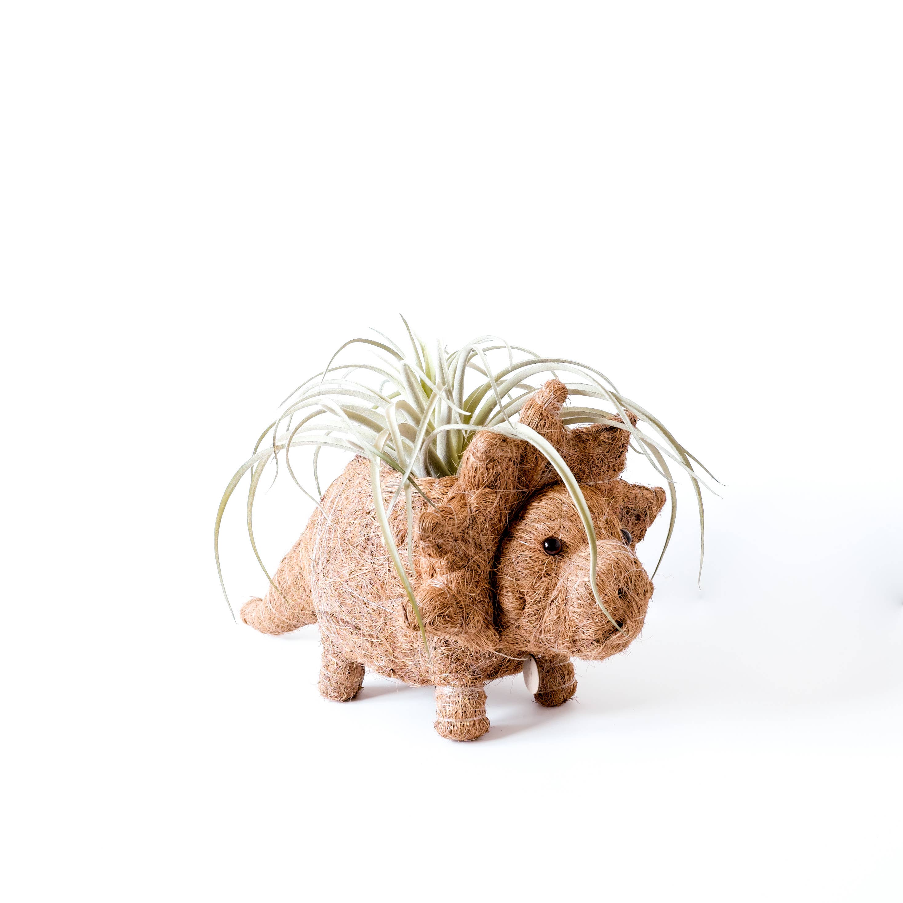 LIKHÂ - Wholesale Plant Pot - Animal Planter - Triceratops | LIKHA1