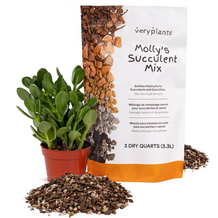 Molly's Succulent Mix - Premium Soilless Gritty Mix- 3 Quart for wholesale by Veryplants Inc