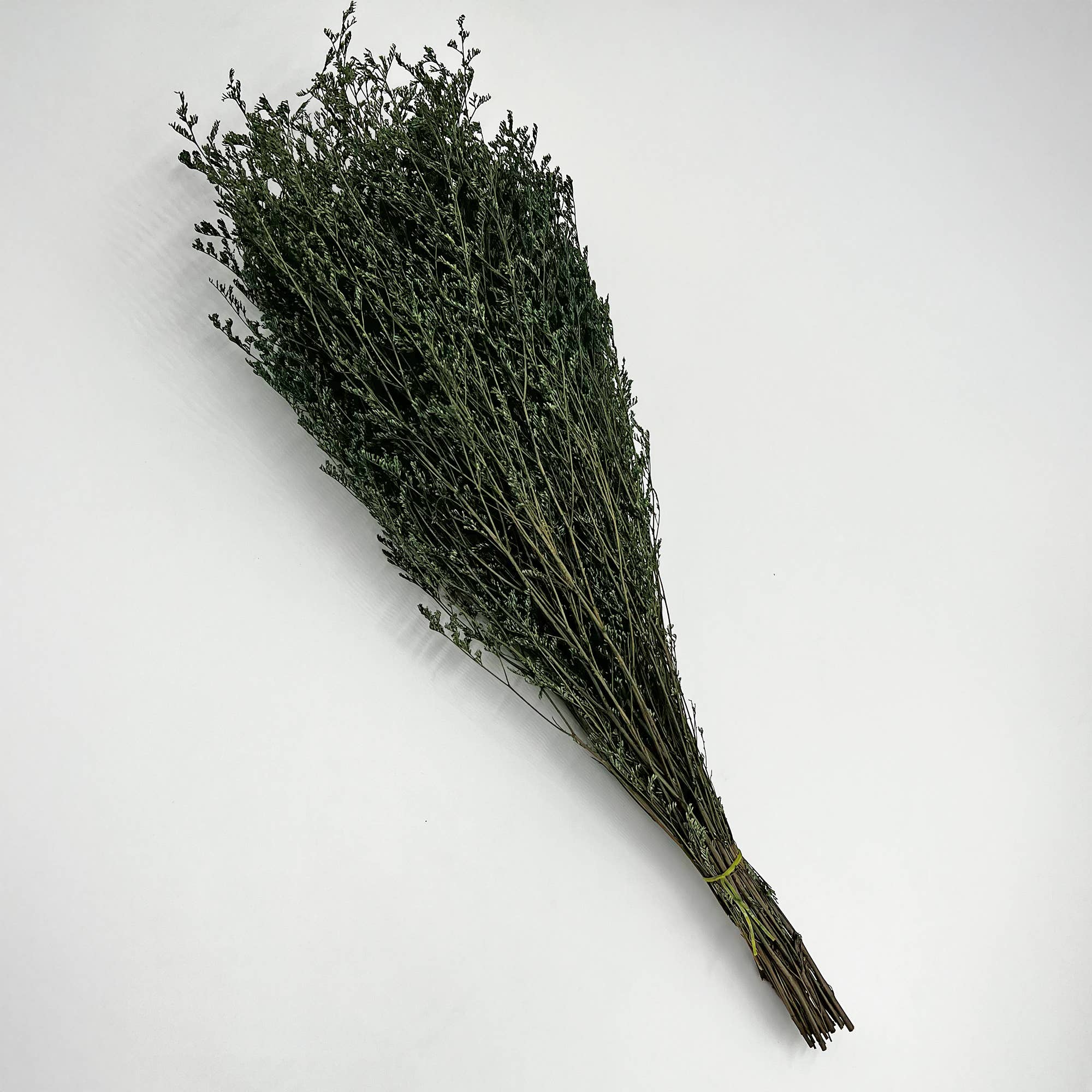 2626 Designs - Wholesale Dried/Pressed Flowers - Dried Preserved Valentin Grass Bouquet 21" Multiple Colors29