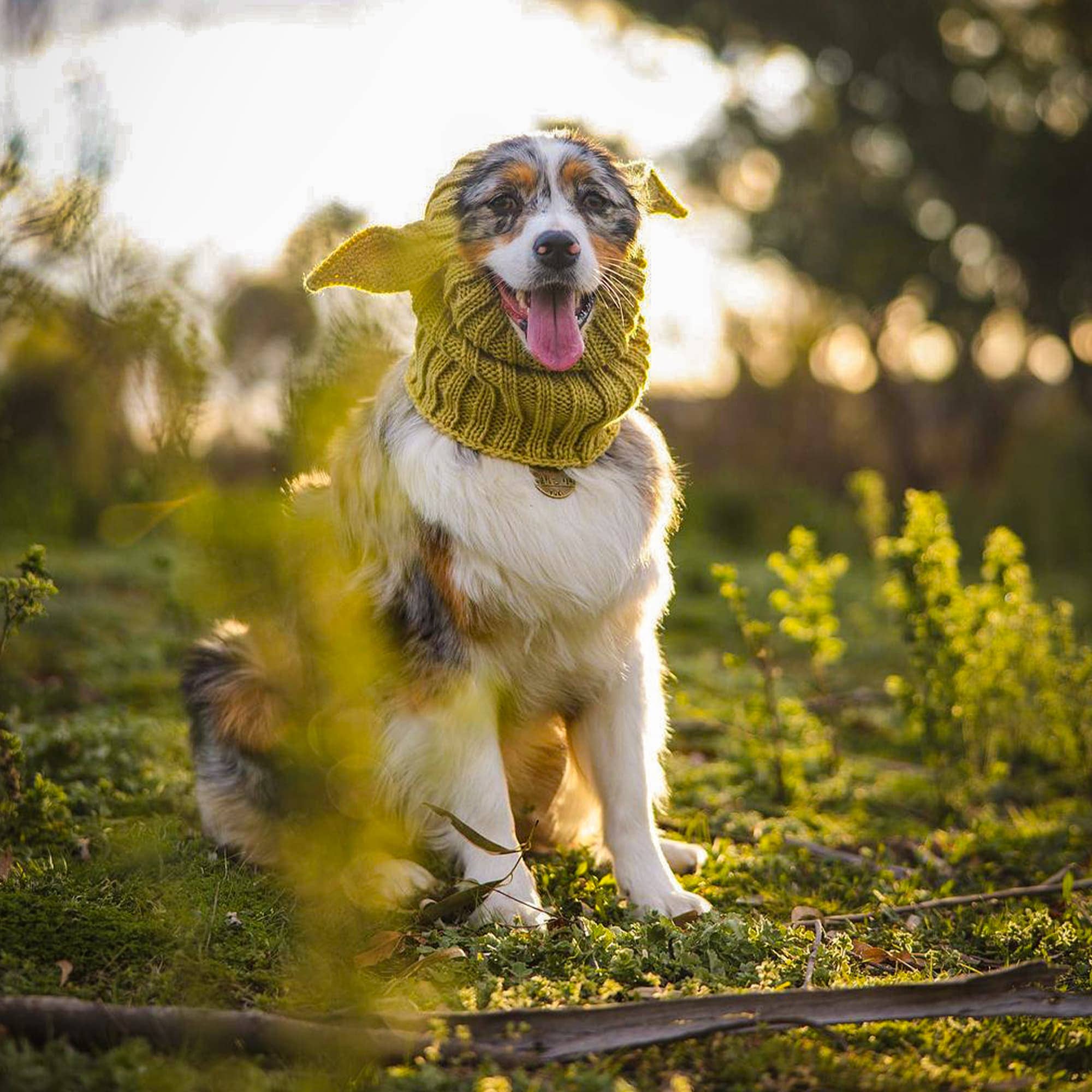 Zoo Snoods - Wholesale Pet Snood - Dog - Baby Alien Dog Snood8