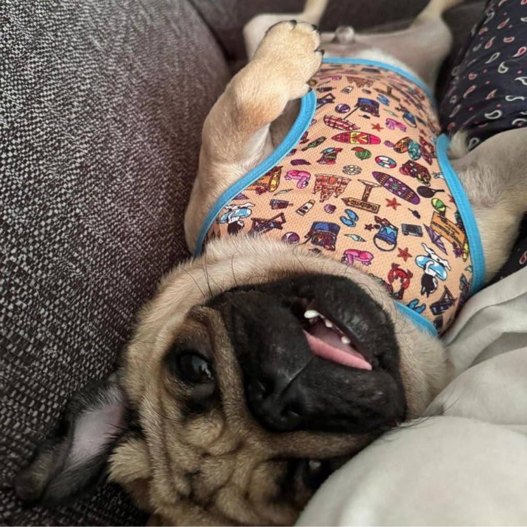 Mylo and Mas Boutique - Wholesale Pet Vest - Dog - Dog Cooling Vest - Sun of a Beach9