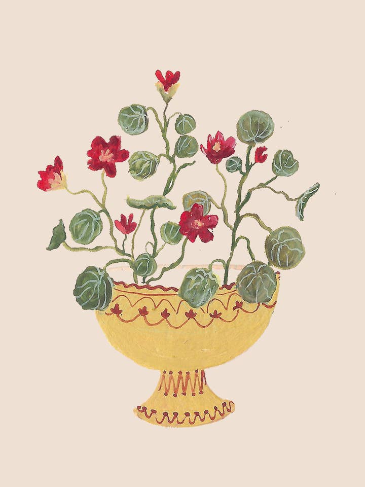 Nasturtium 'Crimson Emperor' mini card for wholesale by Harriet Watson