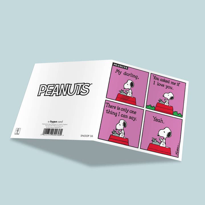 Hype Associates Ltd - Vendita all'ingrosso Biglietti per San Valentino - Snoopy / Peanuts - Biglietto Quadrato di San Valentino