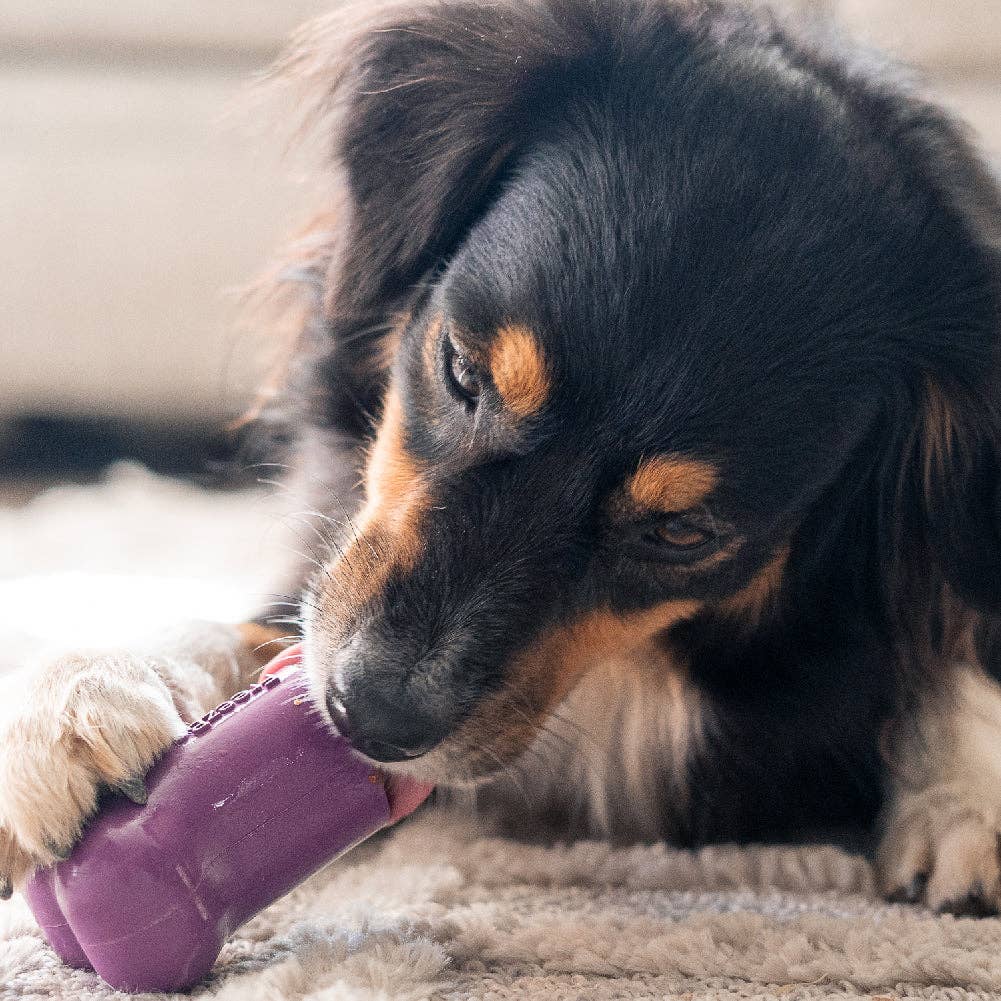 Freezbone - Wholesale Pet Chew Toy - Dog - Freezbone - The Dog Feeders ®4