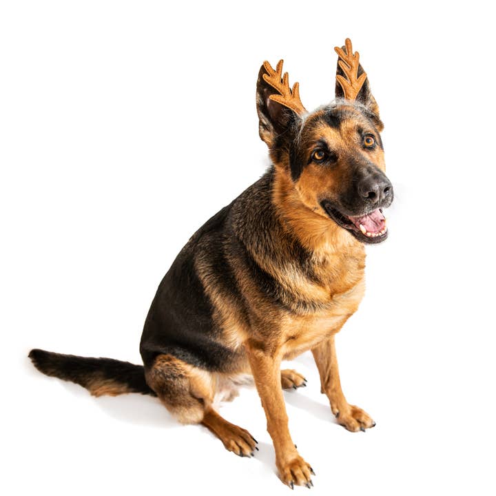 Midlee Designs - Wholesale Pet Costume - Dog - Midlee Furry Antlers Headband Halloween Dog Costume