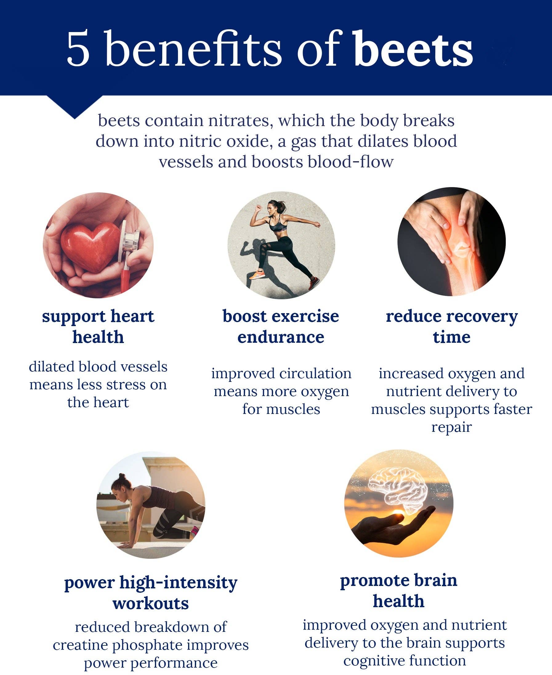 Puriva Nutrition - Wholesale Proteïne/superfoodpoeder - Bietenpoeder, 1 pond, Puriva Nutrition6