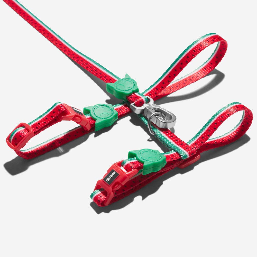 Hundog - Official zee.dog distributor - Wholesale Pet Harness - Cat - Lola Cat Harness and Leash Set2