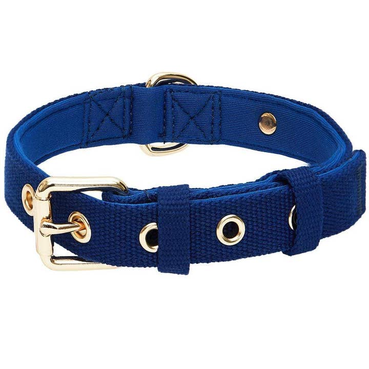 4 Colors, Classic Modern Iconic Neoprene Padded Dog Collar for wholesale by Blueberry Pet