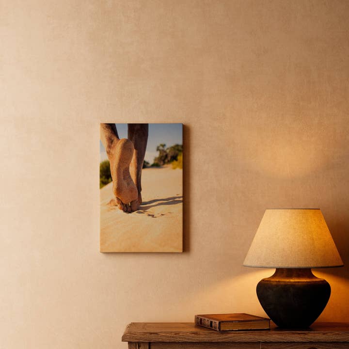 Rhythm & Hues - Wholesale Art Print - Tracing the Moment2