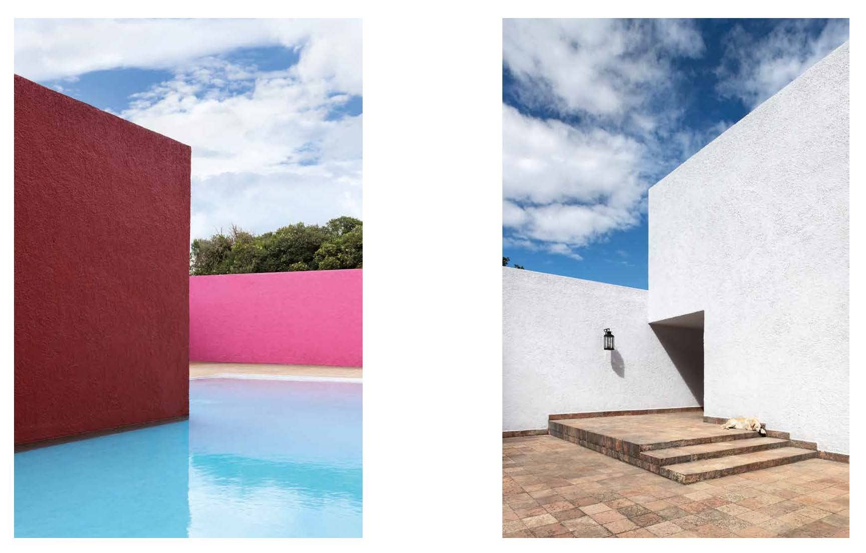 Chronicle Books - Wholesale Pets - Resident Dog (Volume Two)1