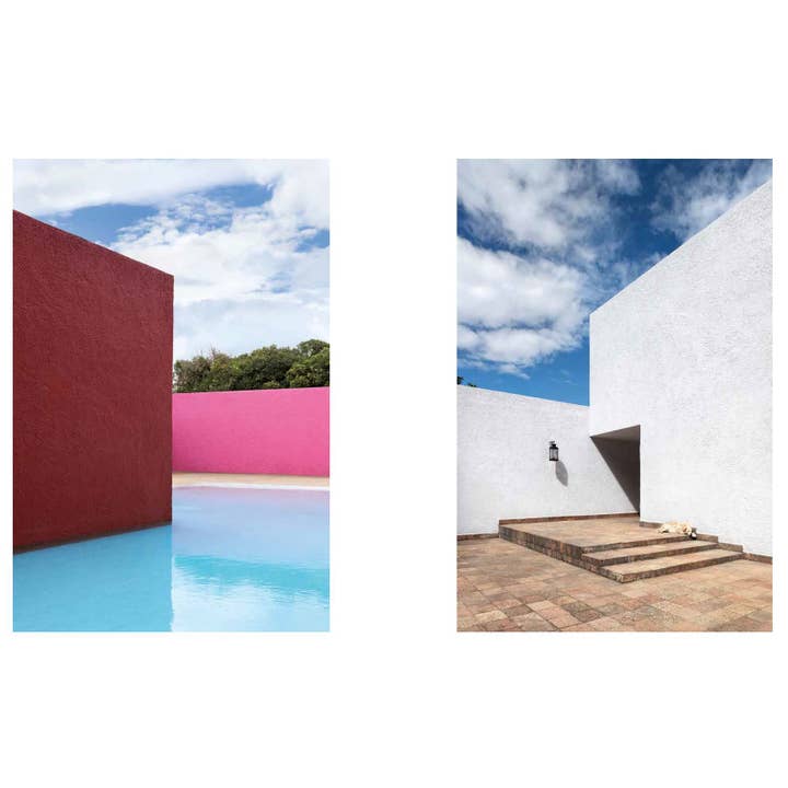 Chronicle Books - Wholesale Pets - Resident Dog (Volume Two)1