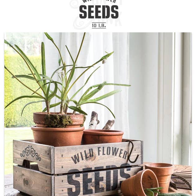 FJ055 Funky Junk's's Wild Flower Seeds for wholesale by Muddaritaville Studio