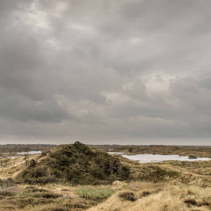 Foto Factory - Wholesale Art Print - Dunes on Fano1