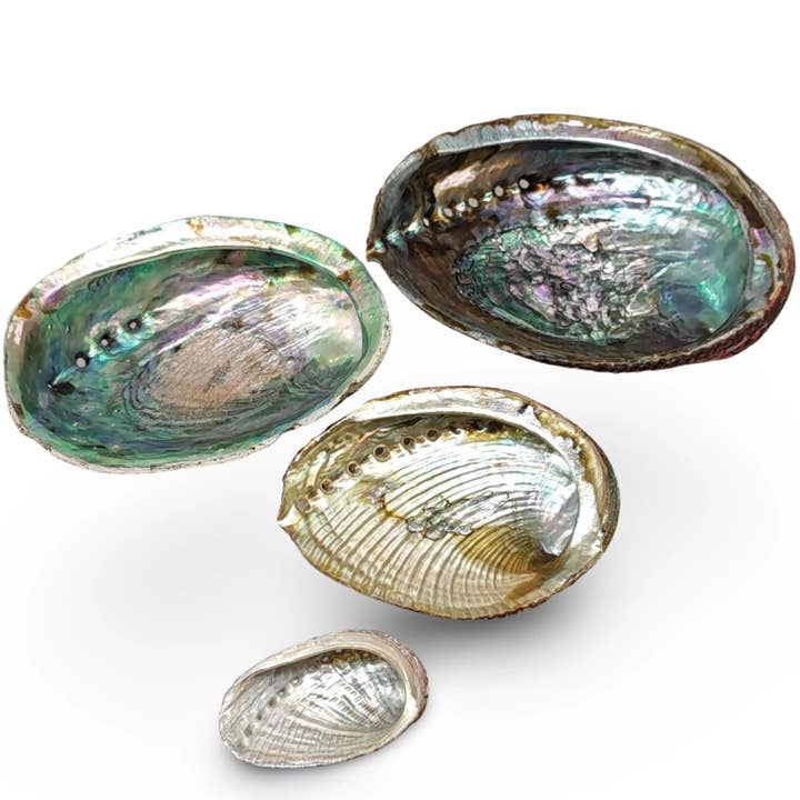 Arômes & Évasions – wholesale Smudge plate – Smudging - Abalone Shell