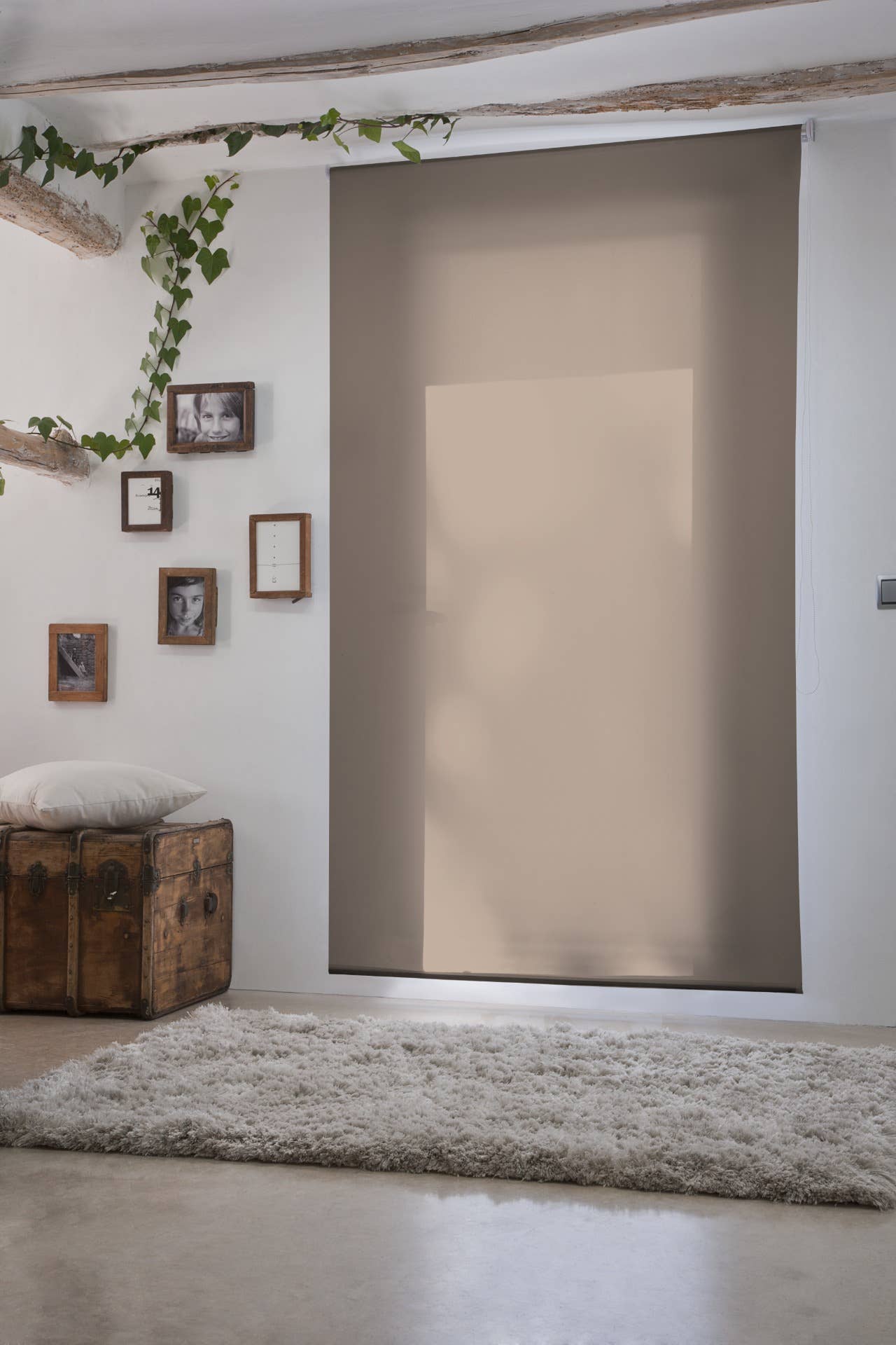 Taupe Aral slät genomskinlig rullgardin för wholesale på Faire1