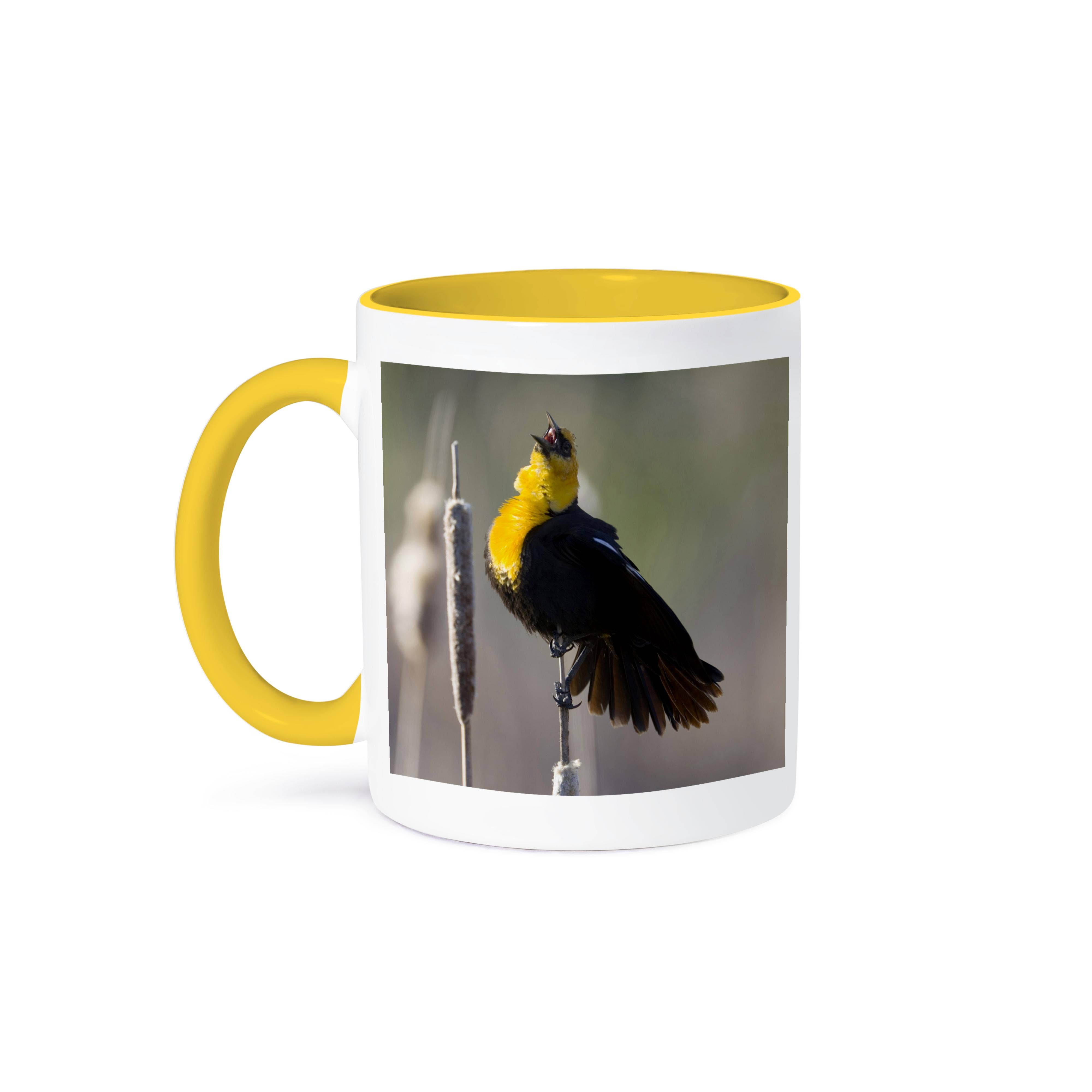 3dRose - Wholesale Coffee Mug - 3dRose, Utah, Cache Valley, Yellow-headed blackbird - US45 SSM0225 - Scott T. Smith, Mug0