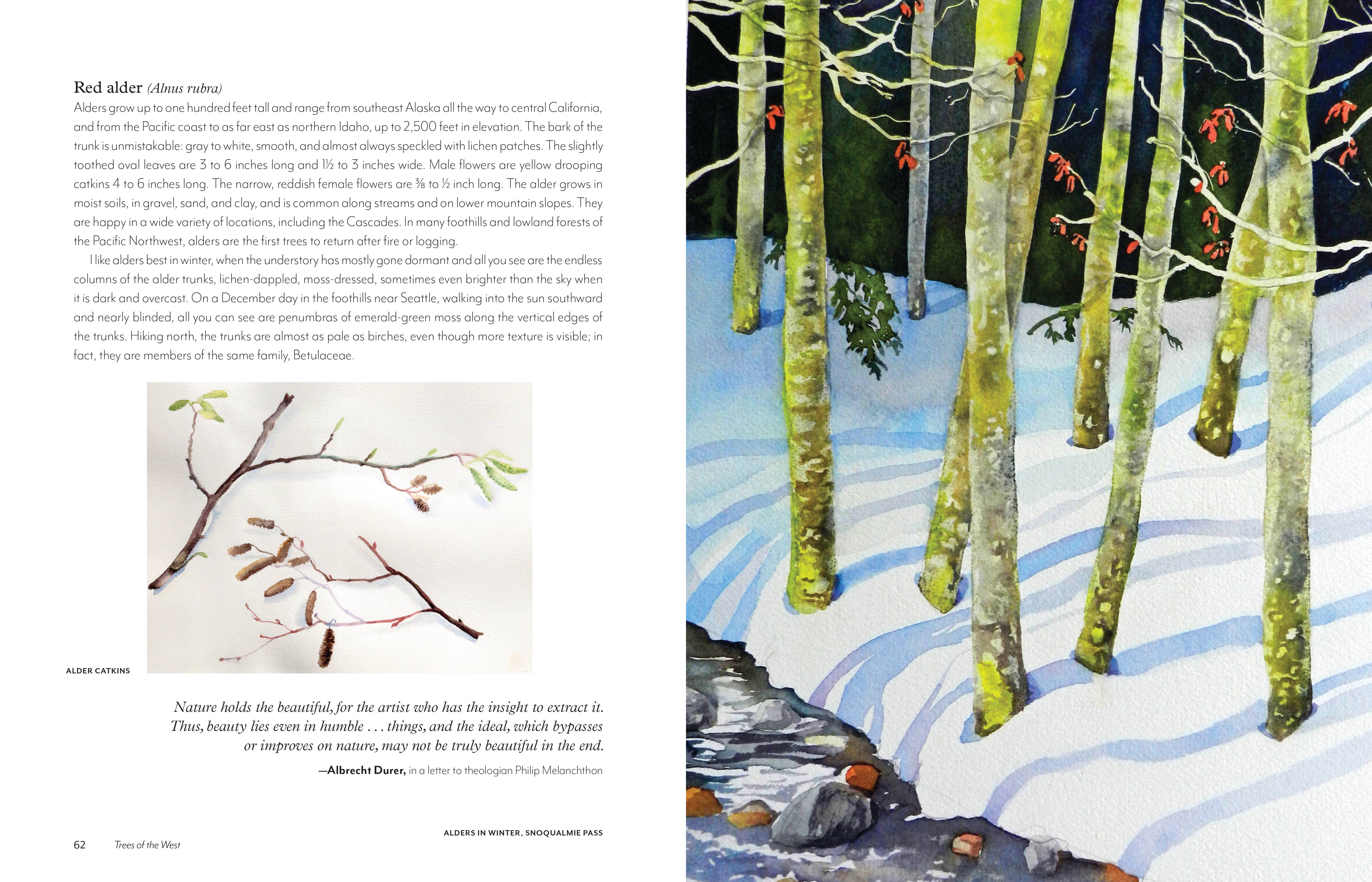 Mountaineers Books - Wholesale Nature & Outdoors - Trees of the West: An Artist's Guide8