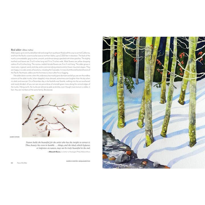 Mountaineers Books - Wholesale Nature & Outdoors - Trees of the West: An Artist's Guide8