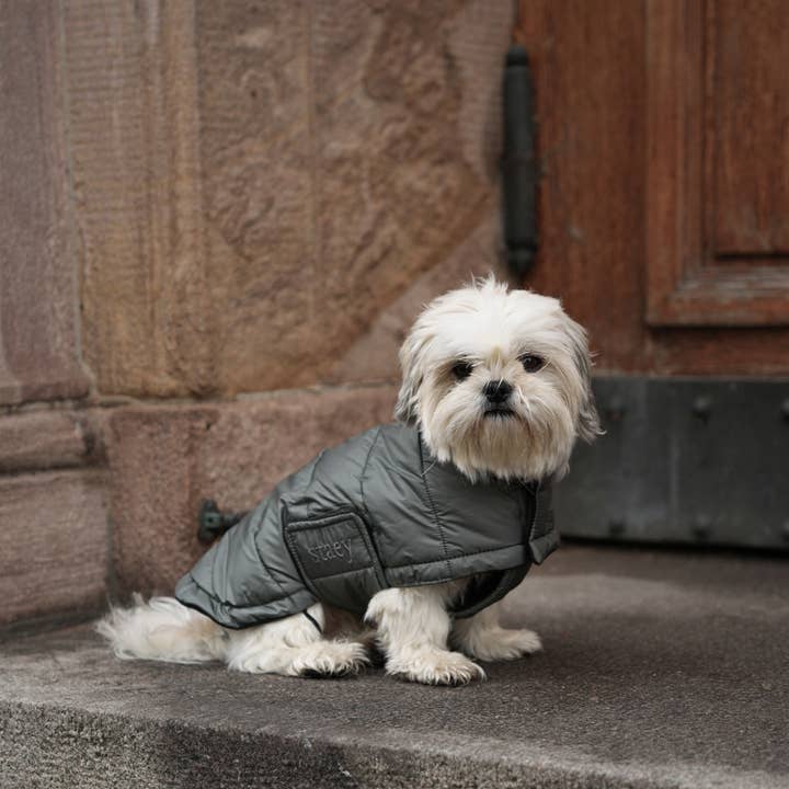 Staey - Wholesale Pet Jacket - Dog - Nora Dog Coat | Moss Green7