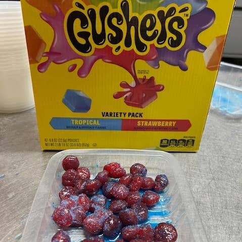 Freeze Dried Pickle Favorites and more - Wholesale Fruit Snacks - Powder coated Gushers (**NOT FREEZE DRIED ***) 4oz container0