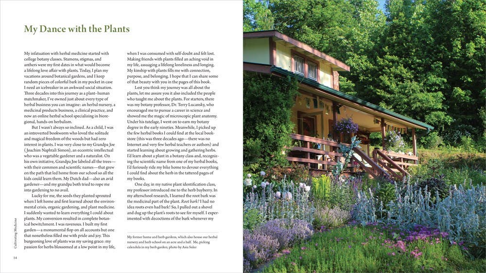 HarperCollins - Wholesale Nature & Outdoors Book - Healing Garden, The: Juliet Blankespoor3