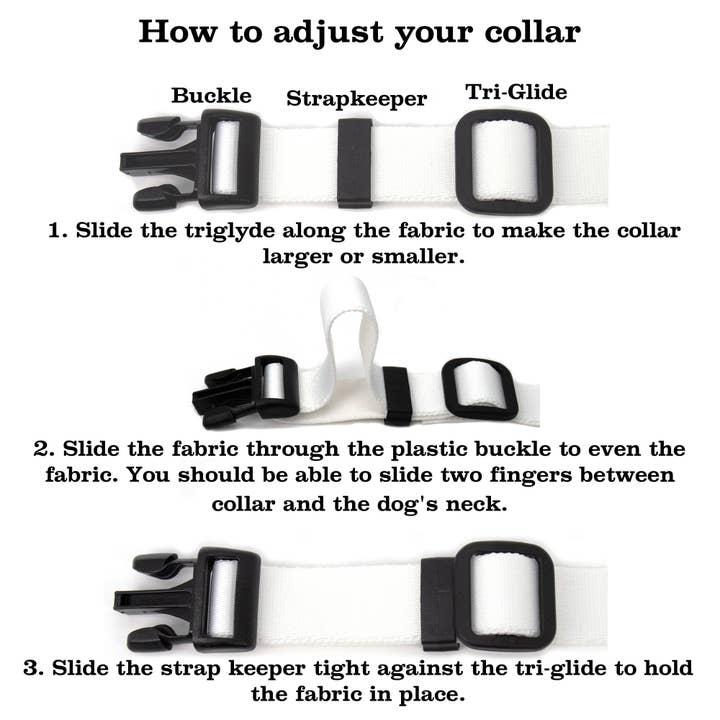 STEM Dog Collar - Made in the USA for wholesale on Faire