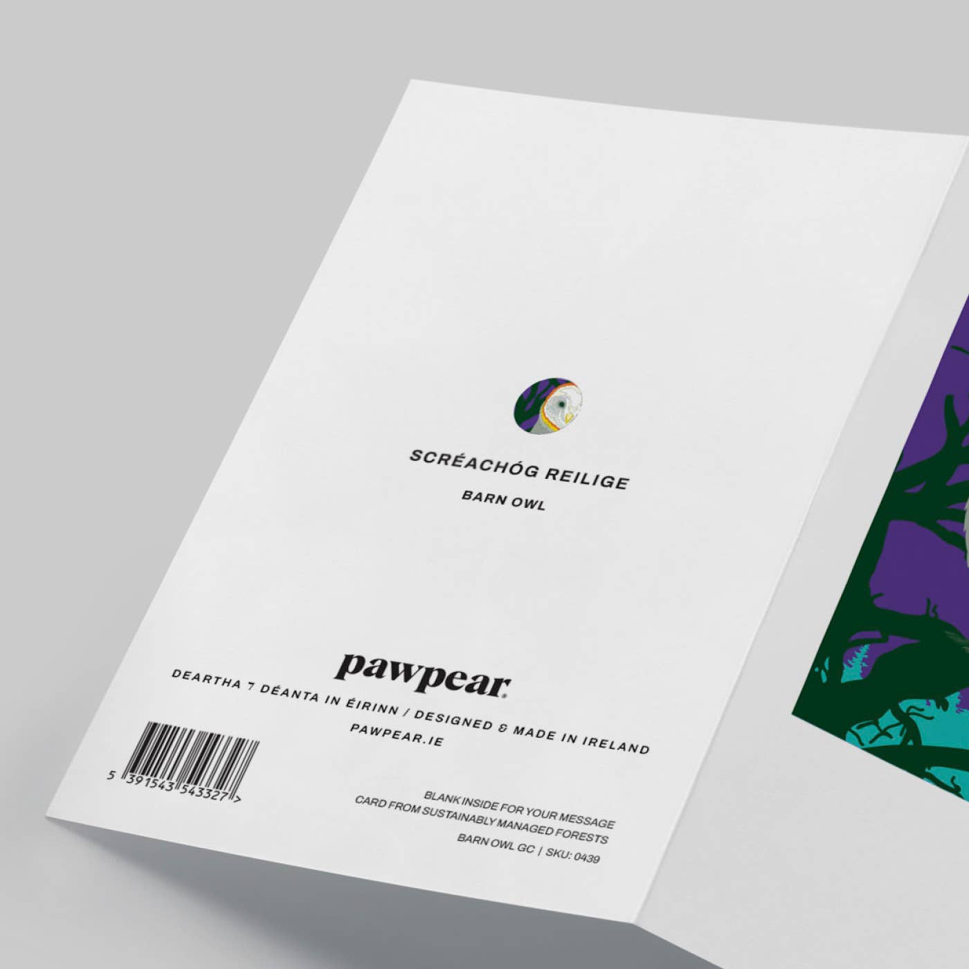 Pawpear - Venta al por mayor Tarjetas de felicitación - Tarjeta de felicitación de búho de granero2