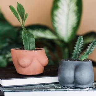 Queen City Crete - Wholesale Plant Pot - Mini Booty Planter