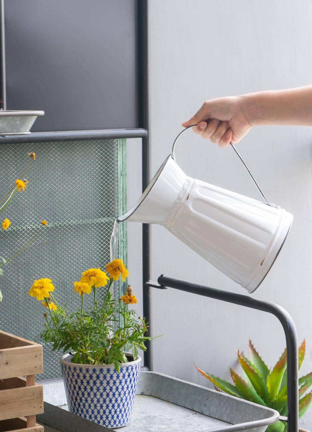 A&B Home Group Inc. - Wholesale Plant Pot - S/4 D5.5x5" Terracotta Planters6