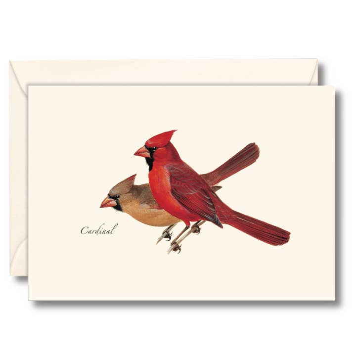 Earth Sky + Water - Wholesale Stationery/Notecard Set - Cardinal Notecard Set, Illustrated by Roger Tory Peterson