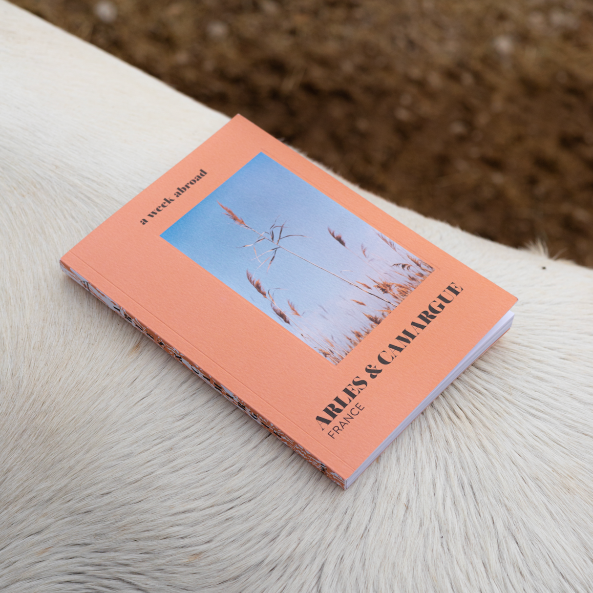 A Week Abroad – Viagem por atacado – Livro Arles-Camargue - Livro2