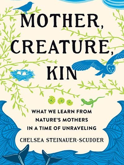 Mother, Creature, Kin for wholesale by Broadleaf Books