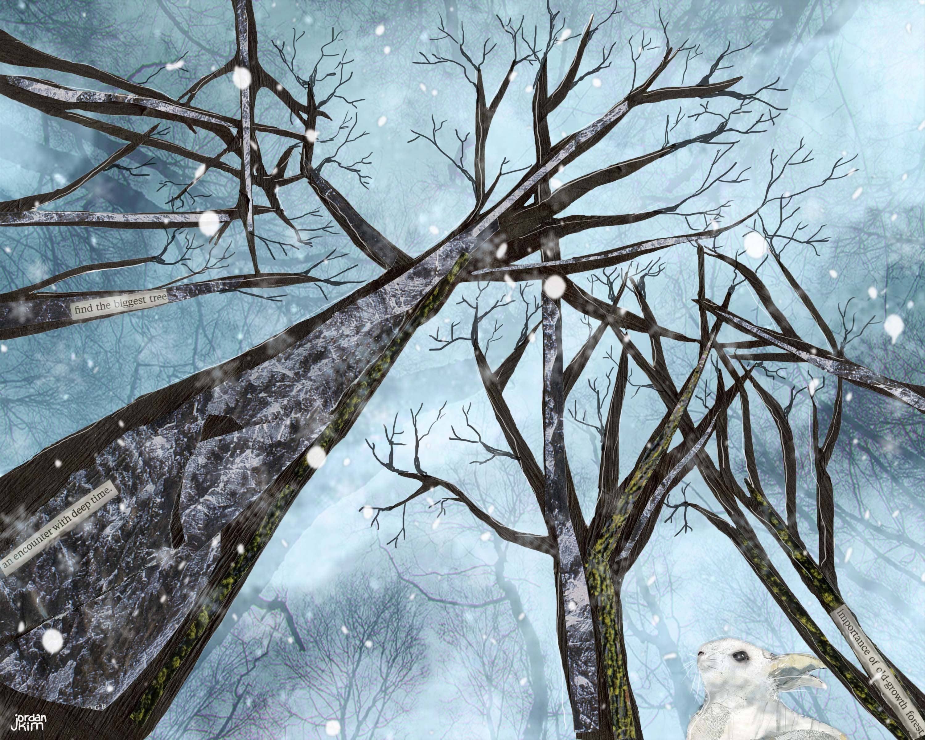 Found & Rewound - Wholesale Everyday Greeting Card - Snowfall - greeting card1