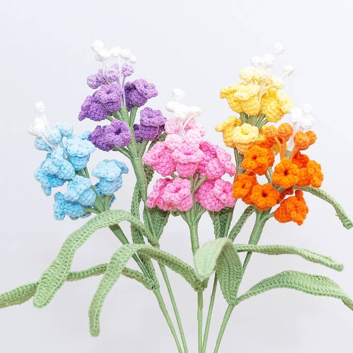 Grape Hyacinth for wholesale by The Way to You Canada